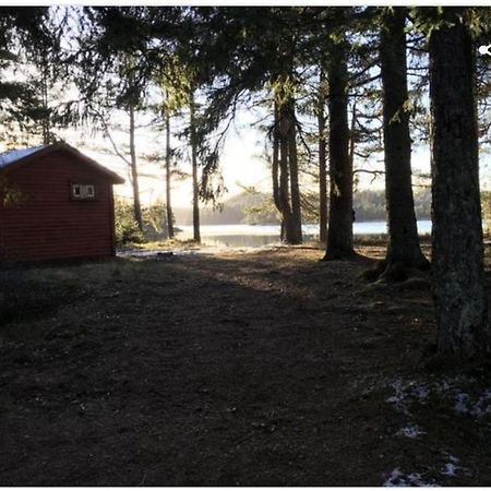 Cabin In The Woods, Lolandsvannet Near Kristiansand Vennesla Bagian luar foto