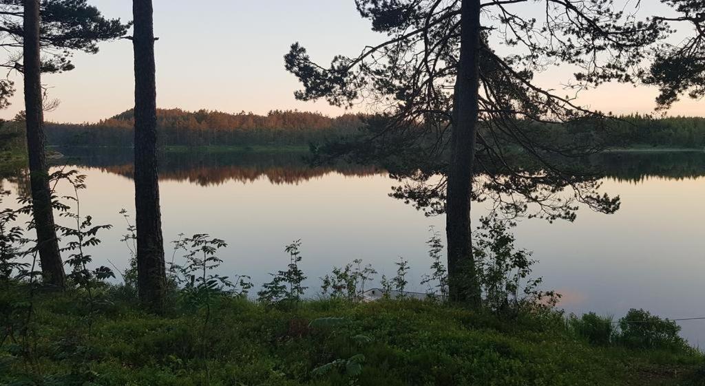 Cabin In The Woods, Lolandsvannet Near Kristiansand Vennesla Bagian luar foto