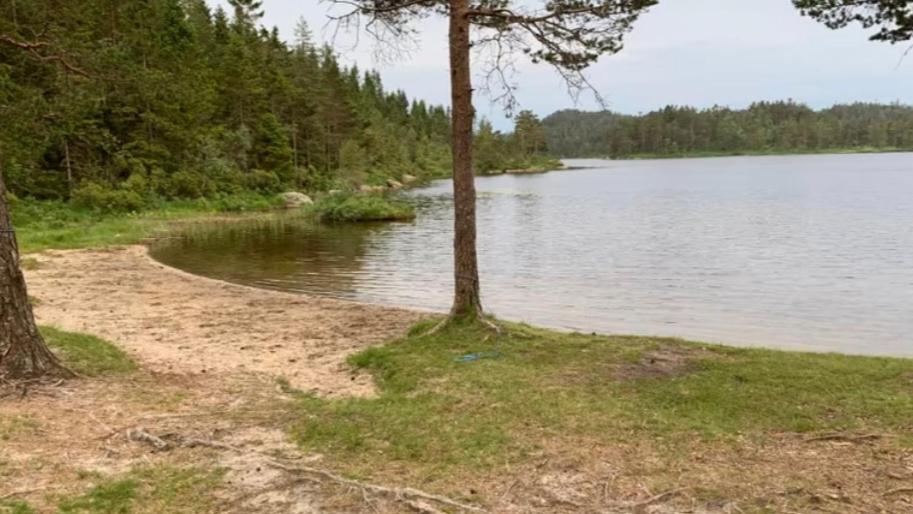 Cabin In The Woods, Lolandsvannet Near Kristiansand Vennesla Bagian luar foto